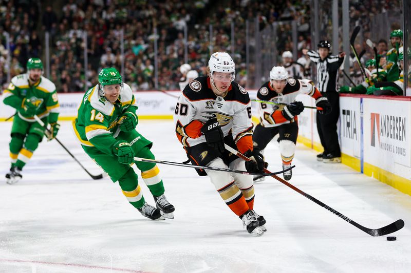 Jan 27, 2024; Saint Paul, Minnesota, USA; Anaheim Ducks defenseman Jackson LaCombe (60) skates with the puck as Minnesota Wild center Joel Eriksson Ek (14) defends during the third period at Xcel Energy Center. Mandatory Credit: Matt Krohn-USA TODAY Sports