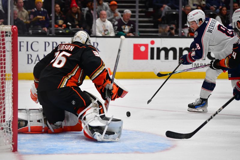 Feb 21, 2024; Anaheim, California, USA; Columbus Blue Jackets defenseman Zach Werenski (8) moves in for a shot on goal against Anaheim Ducks goaltender John Gibson (36) during the second period at Honda Center. Mandatory Credit: Gary A. Vasquez-USA TODAY Sports