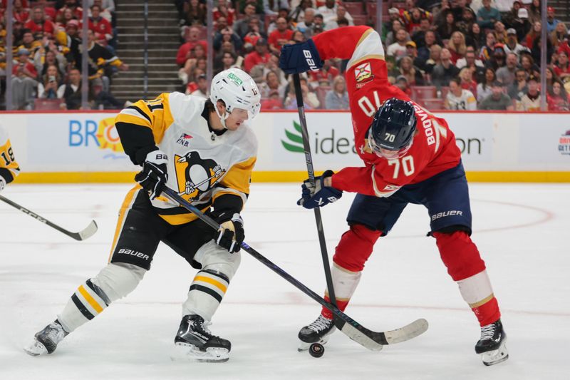 Oct 23, 2025; Sunrise, Florida, USA; Pittsburgh Penguins center Filip Hallander (11) battles for the puck against Florida Panthers center Jesper Boqvist (70) during the second period at Amerant Bank Arena. Mandatory Credit: Sam Navarro-Imagn Images