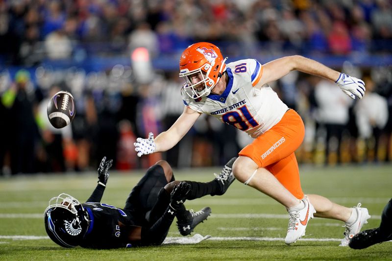 Nov 16, 2024; San Jose, California, USA; Boise State Broncos wide receiver Austin Bolt (81) is unable to make a catch in front of San Jose State Spartans defensive back Michael Dansby (25) in the third quarter at CEFCU Stadium. Mandatory Credit: Cary Edmondson-Imagn Images