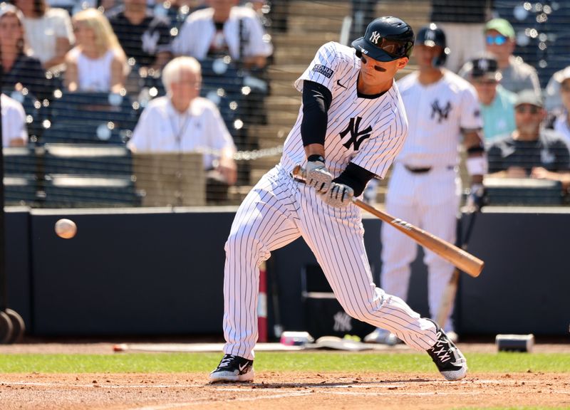 Feb 25, 2024; Tampa, Florida, USA;  New York Yankees first baseman Anthony Rizzo (48) hits a double during the first inning against the New York Yankees at George M. Steinbrenner Field. Mandatory Credit: Kim Klement Neitzel-USA TODAY Sports