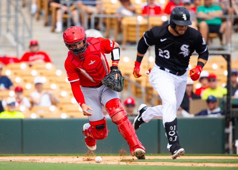 Mar 14, 2024; Phoenix, Arizona, USA; Los Angeles Angels catcher Logan O'Hoppe (left) fields a ground ball by Chicago White Sox batter Andrew Benintendi during a spring training baseball game at Camelback Ranch-Glendale. Mandatory Credit: Mark J. Rebilas-USA TODAY Sports