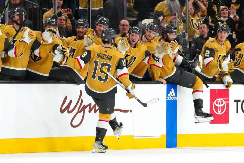 Jan 20, 2024; Las Vegas, Nevada, USA; Vegas Golden Knights center Brendan Brisson (19) celebrates with team mates after scoring his first career NHL goal against the Pittsburgh Penguins during the third period at T-Mobile Arena. Mandatory Credit: Stephen R. Sylvanie-USA TODAY Sports