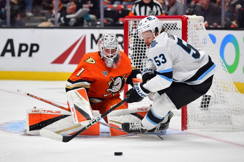 Oct 16, 2024; Anaheim, California, USA; Anaheim Ducks goaltender Lukas Dostal (1) defends the goal against Utah Hockey Club left wing Michael Carcone (53) during the first period at Honda Center. Mandatory Credit: Gary A. Vasquez-Imagn Images