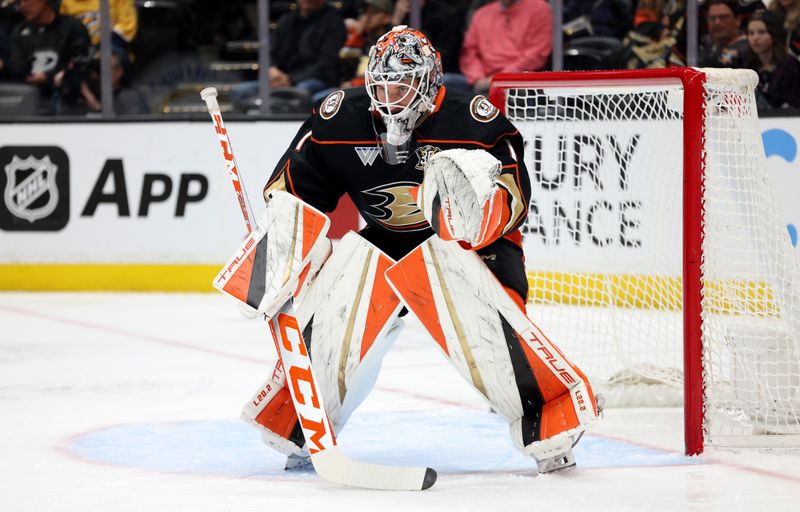 Mar 24, 2024; Anaheim, California, USA; Anaheim Ducks goaltender Lukas Dostal (1) during the first period against the Tampa Bay Lightning at Honda Center. Mandatory Credit: Jason Parkhurst-USA TODAY Sports