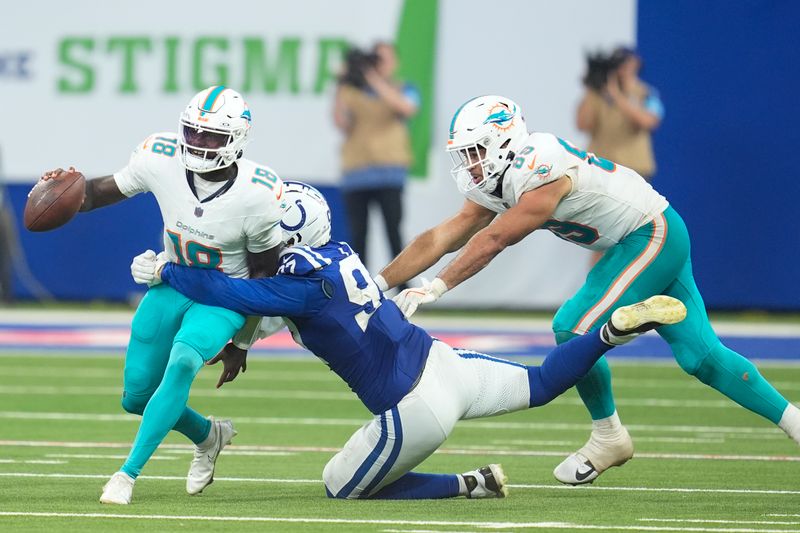 Indianapolis Colts defensive end Laiatu Latu (97) Sacks Miami Dolphins quarterback Tyler Huntley (18) as tight end Julian Hill, right attempts to stop him during the second half of an NFL football game, Sunday, Oct. 20, 2024 in Indianapolis. (AP Photo/Michael Conroy)