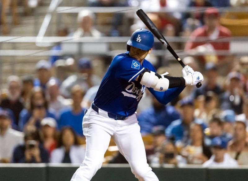 Feb 28, 2025; Phoenix, Arizona, USA; Los Angeles Dodgers designated hitter Shohei Ohtani (17) against the Los Angeles Angels during a spring training game at Camelback Ranch-Glendale. Mandatory Credit: Mark J. Rebilas-Imagn Images
