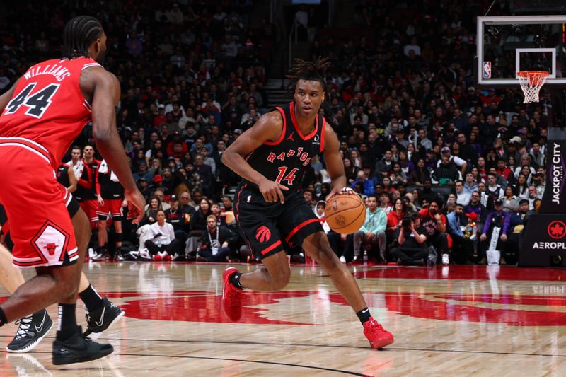 TORONTO, CANADA - JANUARY 31:  Ja'Kobe Walter #14 of the Toronto Raptors dribbles the ball during the game against the Chicago Bulls on January 31, 2025 at the Scotiabank Arena in Toronto, Ontario, Canada.  NOTE TO USER: User expressly acknowledges and agrees that, by downloading and or using this Photograph, user is consenting to the terms and conditions of the Getty Images License Agreement.  Mandatory Copyright Notice: Copyright 2025 NBAE (Photo by Vaughn Ridley/NBAE via Getty Images)