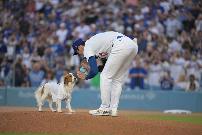 Aug 28, 2024; Los Angeles, California, USA;  Decoy, the dog of Los Angeles Dodgers designated hitter Shohei Ohtani (17) waits for instruction before delivering the first pitch before the game against the Baltimore Orioles at Dodger Stadium. Mandatory Credit: Jayne Kamin-Oncea-USA TODAY Sports