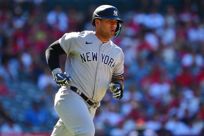 Jul 19, 2023; Anaheim, California, USA; New York Yankees second baseman Gleyber Torres (25) runs after hitting a single against the Los Angeles Angels during the first inning at Angel Stadium. Mandatory Credit: Gary A. Vasquez-USA TODAY Sports