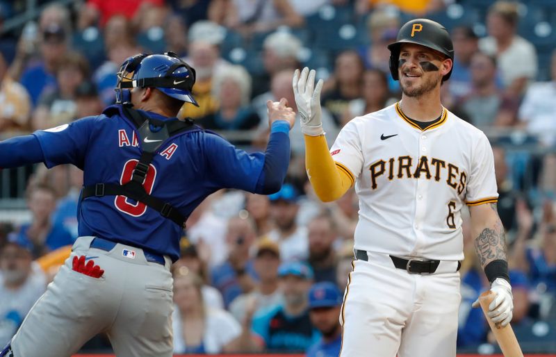 Aug 26, 2024; Pittsburgh, Pennsylvania, USA;  Pittsburgh Pirates catcher Yasmani Grandal (6) reacts after striking out to end the second inning agains the Chicago Cubs at PNC Park. Mandatory Credit: Charles LeClaire-USA TODAY Sports