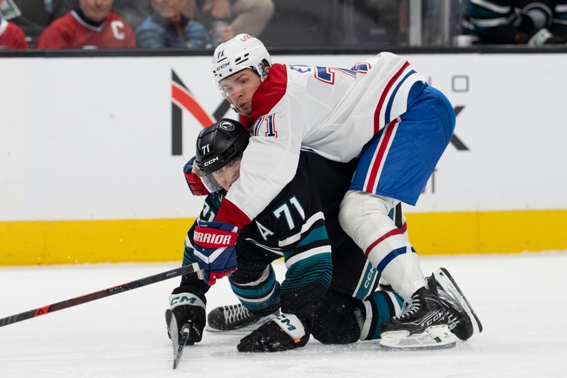 Mar 3, 2026; San Jose, California, USA;  Montreal Canadiens center Jake Evans (71) holds onto San Jose Sharks center Macklin Celebrini (71) during the second period at SAP Center at San Jose. Mandatory Credit: Stan Szeto-Imagn Images