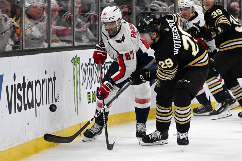 Feb 10, 2024; Boston, Massachusetts, USA; Washington Capitals left wing Max Pacioretty (67) and Boston Bruins defenseman Derek Forbort (28) battle for the puck during the second period at the TD Garden. Mandatory Credit: Brian Fluharty-USA TODAY Sports