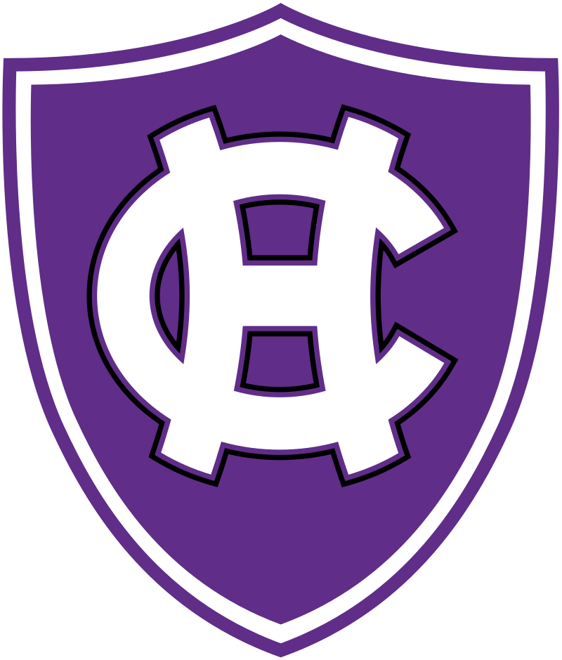 Team logo