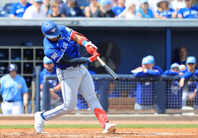 Feb 27, 2026; Port Charlotte, Florida, USA; Toronto Blue Jays shortstop Leo Jimenez (49) hits an RBI single during the second inning against the Tampa Bay Rays at Charlotte Sports Park. Mandatory Credit: Kim Klement Neitzel-Imagn Images