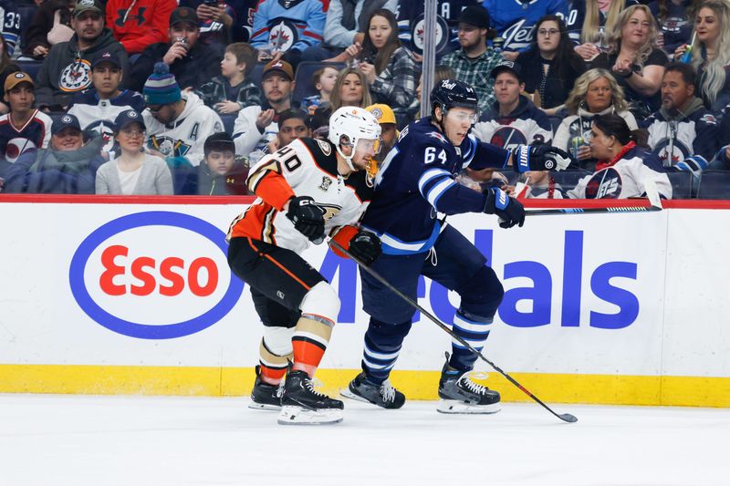 Mar 15, 2024; Winnipeg, Manitoba, CAN; Anaheim Ducks forward Pavol Regenda (40) and Winnipeg Jets defenseman Logan Stanley (64) skate after the puck during the first period at Canada Life Centre. Mandatory Credit: Terrence Lee-USA TODAY Sports