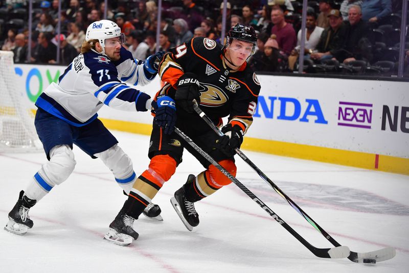 Jan 5, 2024; Anaheim, California, USA; Anaheim Ducks defenseman Pavel Mintyukov (34) moves the puck against Winnipeg Jets left wing Axel Jonsson-Fjallby (71) during the first period at Honda Center. Mandatory Credit: Gary A. Vasquez-USA TODAY Sports