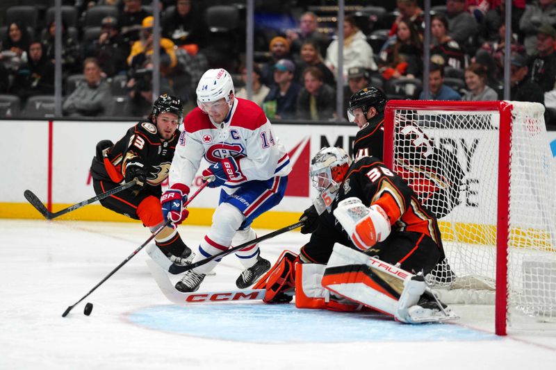 Nov 22, 2023; Anaheim, California, USA; Montreal Canadiens center Nick Suzuki (14) shoots the puck against Anaheim Ducks goaltender John Gibson (36) in the third period at Honda Center. Mandatory Credit: Kirby Lee-USA TODAY Sports