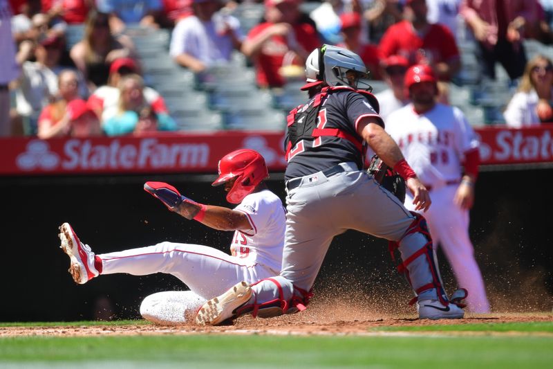 Apr 6, 2025; Anaheim, California, USA; Los Angeles Angels second baseman Kyren Paris (19) scores a run against Cleveland Guardians catcher Austin Hedges (27) during the second inning at Angel Stadium. Mandatory Credit: Gary A. Vasquez-Imagn Images