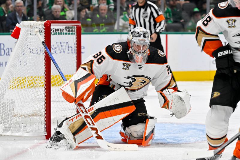 Jan 25, 2024; Dallas, Texas, USA; Anaheim Ducks goaltender John Gibson (36) faces the Dallas Stars attack during the second period at the American Airlines Center. Mandatory Credit: Jerome Miron-USA TODAY Sports