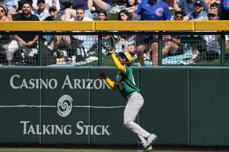 Mar 7, 2026; Mesa, Arizona, USA; Athletics left fielder Clark Elliott (87) makes the running catch against the Chicago Cubs in the first inning at Sloan Park. Mandatory Credit: Rick Scuteri-Imagn Images