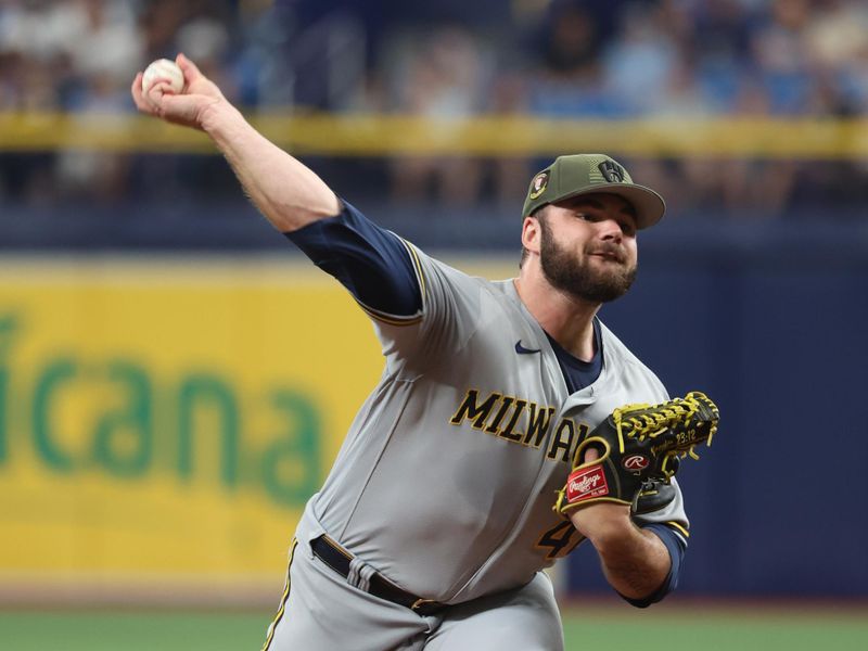 May 20, 2023; St. Petersburg, Florida, USA; Milwaukee Brewers relief pitcher Bryse Wilson (46) throws a pitch during the sixth inning against the Tampa Bay Rays  at Tropicana Field. Mandatory Credit: Kim Klement-USA TODAY Sports