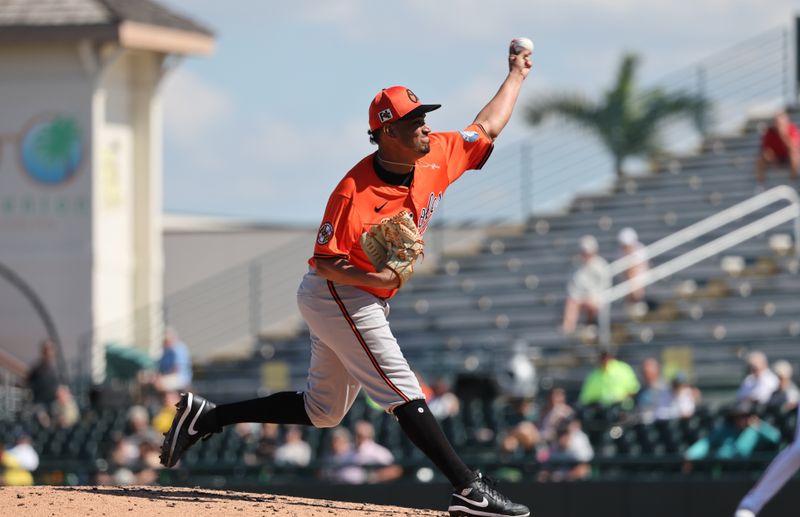 Feb 26, 2025; Bradenton, Florida, USA; Baltimore Orioles pitcher Luis Gonzalez (53) throws a pitch during the fourth inning against the Pittsburgh Pirates  at LECOM Park. Mandatory Credit: Kim Klement Neitzel-Imagn Images