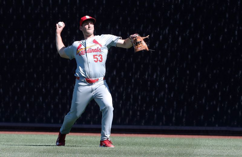 Jul 2, 2024; Pittsburgh, Pennsylvania, USA;  St. Louis Cardinals relief pitcher Andre Pallante (53) throws in the outfield before a game against the Pittsburgh Pirates at PNC Park. Mandatory Credit: Charles LeClaire-USA TODAY Sports