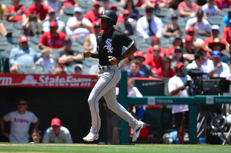 Jun 29, 2023; Anaheim, California, USA; Chicago White Sox shortstop Tim Anderson (7) scores a run on a wild pitch by Los Angeles Angels starting pitcher Patrick Sandoval (43) during the first inning at Angel Stadium. Mandatory Credit: Gary A. Vasquez-USA TODAY Sports