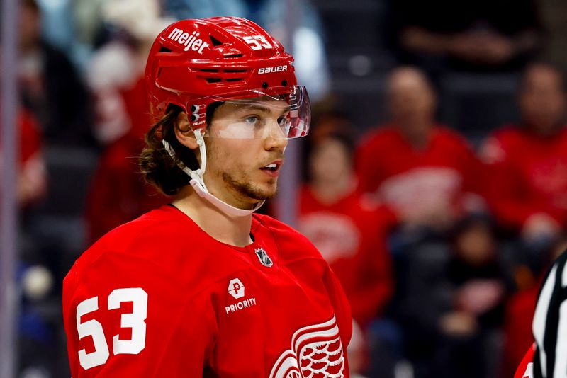 Jan 25, 2025; Detroit, Michigan, USA;  Detroit Red Wings defenseman Moritz Seider (53) looks on in the third period against the Tampa Bay Lightning at Little Caesars Arena. Mandatory Credit: Rick Osentoski-Imagn Images