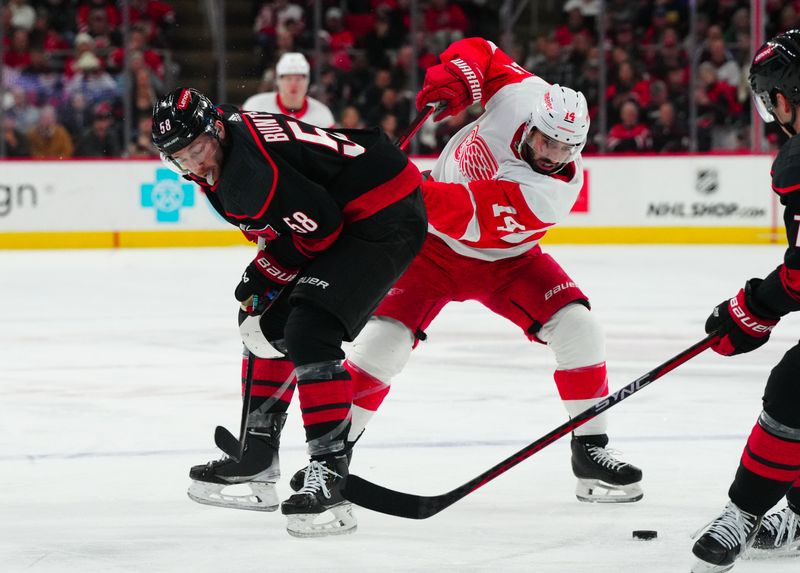 Jan 19, 2024; Raleigh, North Carolina, USA;  Carolina Hurricanes left wing Michael Bunting (58) and Detroit Red Wings center Robby Fabbri (14) battle fro the puck during the second period at PNC Arena. Mandatory Credit: James Guillory-USA TODAY Sports