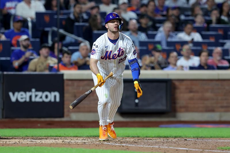 Sep 17, 2024; New York City, New York, USA; New York Mets first baseman Pete Alonso (20) watches his two run single against the Washington Nationals during the third inning at Citi Field. Mandatory Credit: Brad Penner-Imagn Images