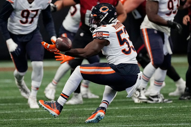 Chicago Bears linebacker Nicholas Morrow (53) misses the interception against the Atlanta Falcons during the first half of an NFL football game, Sunday, Nov. 20, 2022, in Atlanta. (AP Photo/John Bazemore)