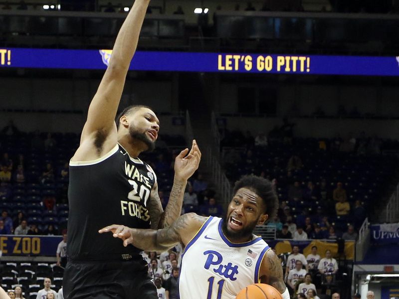 Jan 25, 2023; Pittsburgh, Pennsylvania, USA;  Pittsburgh Panthers guard Jamarius Burton (11) dribbles the ball against Wake Forest Demon Deacons forward Davion Bradford (20) during the second half at the Petersen Events Center. Pittsburgh won 81-79. Mandatory Credit: Charles LeClaire-USA TODAY Sports