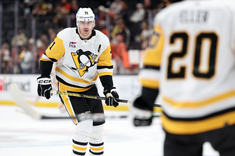 Nov 7, 2023; Anaheim, California, USA; Pittsburgh Penguins center Evgeni Malkin (71) warms up before the game against the Anaheim Ducks at Honda Center. Mandatory Credit: Kiyoshi Mio-USA TODAY Sports