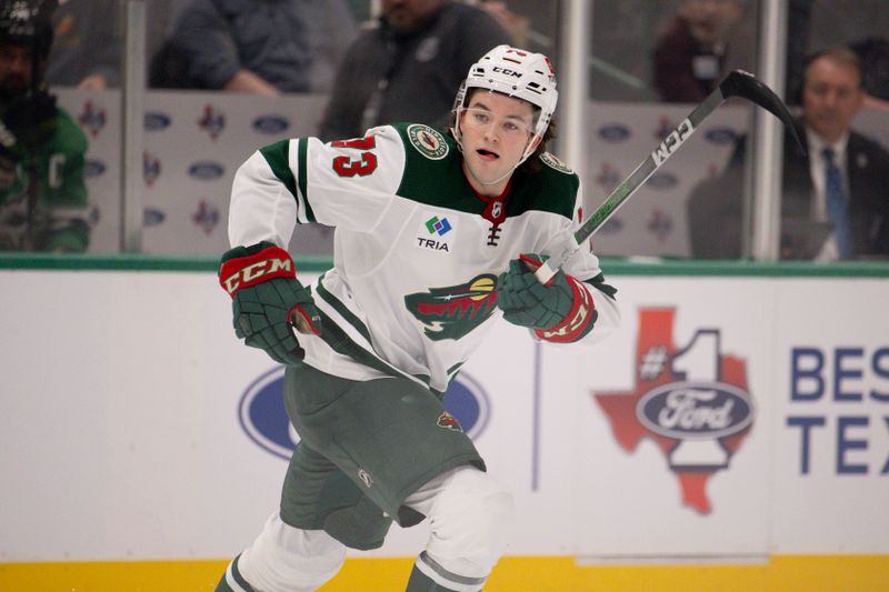 Sep 26, 2023; Dallas, Texas, USA; Minnesota Wild defenseman Kyle Masters (73) in action during the game between the Dallas Stars and the Minnesota Wild at the American Airlines Center. Mandatory Credit: Jerome Miron-USA TODAY Sports