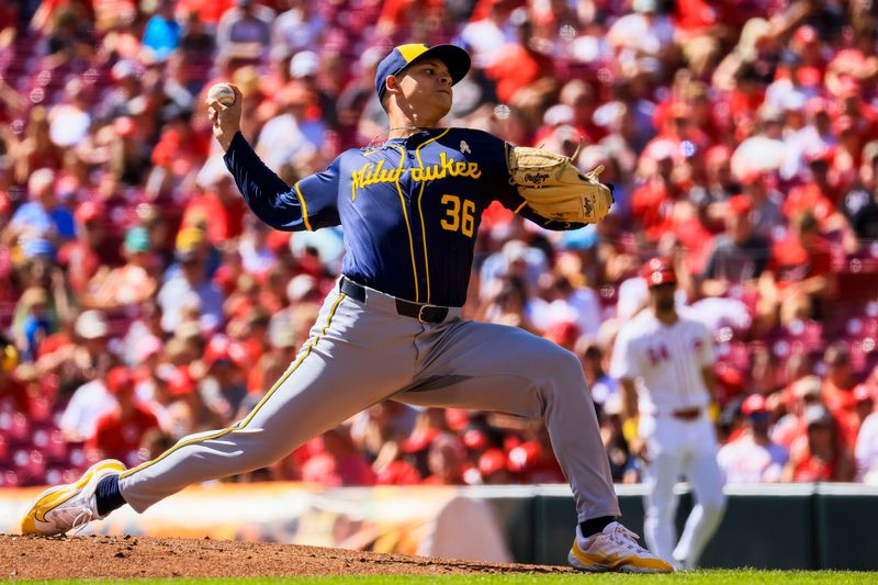 Sep 1, 2024; Cincinnati, Ohio, USA; Milwaukee Brewers starting pitcher Tobias Myers (36) pitches against the Cincinnati Reds in the first inning at Great American Ball Park. Mandatory Credit: Katie Stratman-USA TODAY Sports