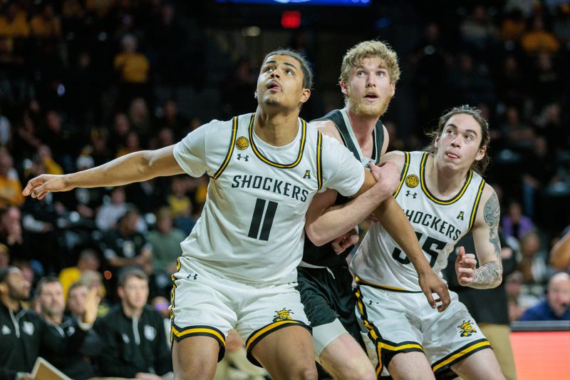 Mar 2, 2024; Wichita, Kansas, USA; Wichita State Shockers forward Kenny Pohto (11) blocks out Rice Owls forward Max Fiedler (15) during the second half at Charles Koch Arena. Mandatory Credit: William Purnell-USA TODAY Sports