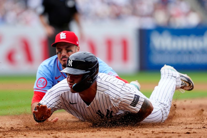 Aug 31, 2024; Bronx, New York, USA; New York Yankees second baseman Gleyber Torres (25) is tagged out by St. Louis Cardinals third baseman Nolan Arenado (28) in a run down during the eighth inning at Yankee Stadium. Mandatory Credit: Gregory Fisher-USA TODAY Sports