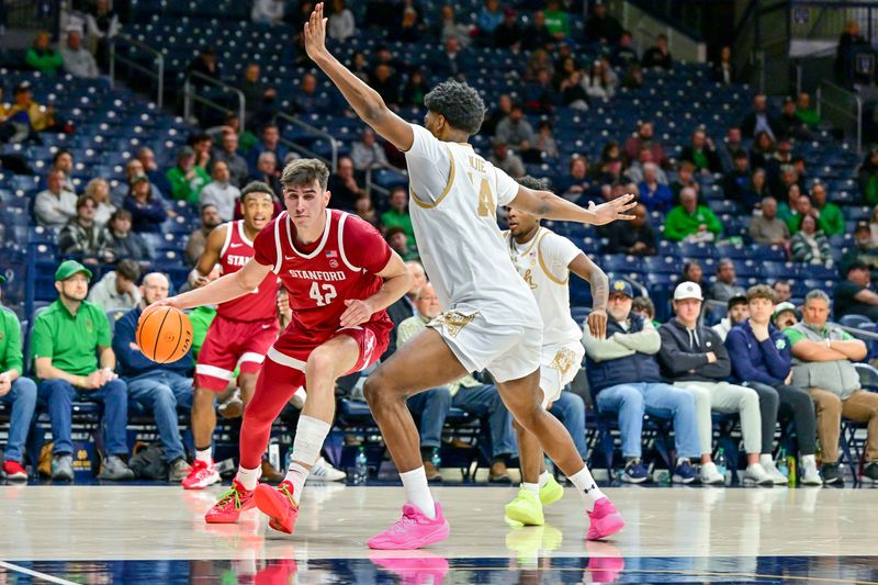 Mar 5, 2025; South Bend, Indiana, USA; Stanford Cardinal forward Maxime Raynaud (42) drives to the basket as Notre Dame Fighting Irish guard Sir Mohammed (4) defends in the second half at the Purcell Pavilion. Mandatory Credit: Matt Cashore-Imagn Images