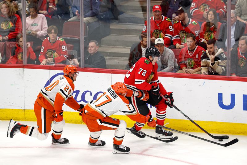 Nov 19, 2024; Chicago, Illinois, USA; Chicago Blackhawks defenseman Alex Vlasic (72) skates with the puck against Anaheim Ducks left wing Alex Killorn (17) during the second period at United Center. Mandatory Credit: Kamil Krzaczynski-Imagn Images