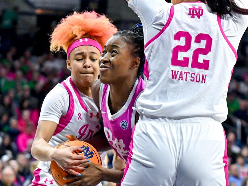 Feb 4, 2024; South Bend, Indiana, USA; Notre Dame Fighting Irish guard Hannah Hidalgo (3) attempts to steal the ball from Pittsburgh Panthers forward Rapuluchi Ayodele (15) in the first half at the Purcell Pavilion. Mandatory Credit: Matt Cashore-USA TODAY Sports