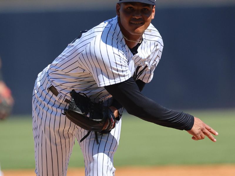 Feb 26, 2023; Tampa, Florida, USA; New York Yankees relief pitcher Albert Abreu (84) throws a pitch during the third inning against the Atlanta Braves at George M. Steinbrenner Field. Mandatory Credit: Kim Klement-USA TODAY Sports