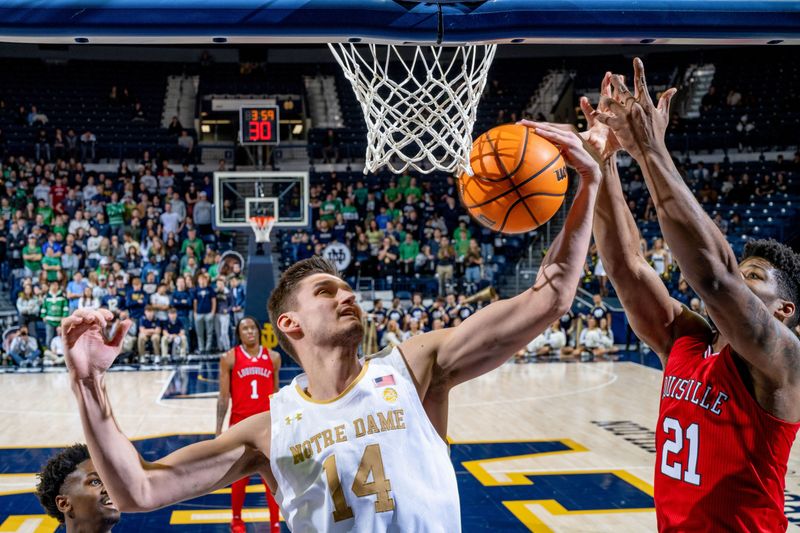 Jan 28, 2023; South Bend, Indiana, USA; Notre Dame Fighting Irish forward Nate Laszewski (14) pulls down a rebound in front of Louisville Cardinals forward Syndey Curry (21) in the first half at the Purcell Pavilion. Mandatory Credit: Matt Cashore-USA TODAY Sports