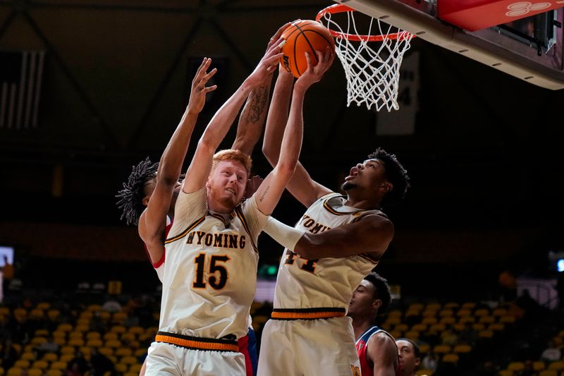 Jan 31, 2023; Laramie, Wyoming, USA; Wyoming Cowboys forward Nate Barnhart (15) grabs a rebound against the  Fresno State Bulldogs during the first half at Arena-Auditorium. Mandatory Credit: Troy Babbitt-USA TODAY Sports