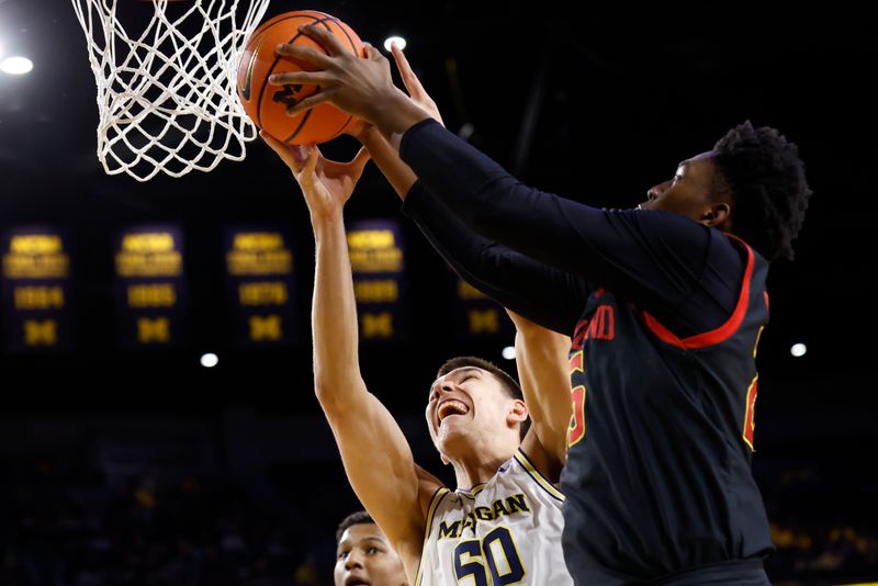 Mar 5, 2025; Ann Arbor, Michigan, USA;  Michigan Wolverines center Vladislav Goldin (50) and v26 go for the rebound in the first half at Crisler Center. Mandatory Credit: Rick Osentoski-Imagn Images