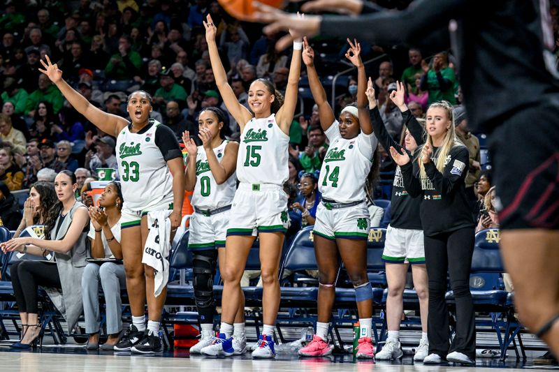 Feb 16, 2023; South Bend, Indiana, USA; Notre Dame Fighting Irish bench players celebrate after a three point basket in the second half against the Louisville Cardinals at the Purcell Pavilion. Mandatory Credit: Matt Cashore-USA TODAY Sports