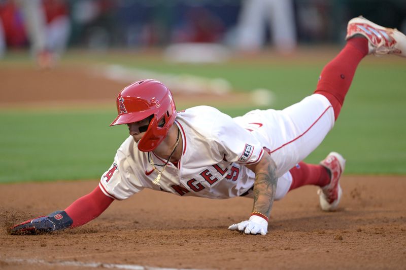 May 13, 2024; Anaheim, California, USA; Los Angeles Angels shortstop Zach Neto (9) dives safely back to first in the third inning against the St. Louis Cardinals at Angel Stadium. Mandatory Credit: Jayne Kamin-Oncea-USA TODAY Sports