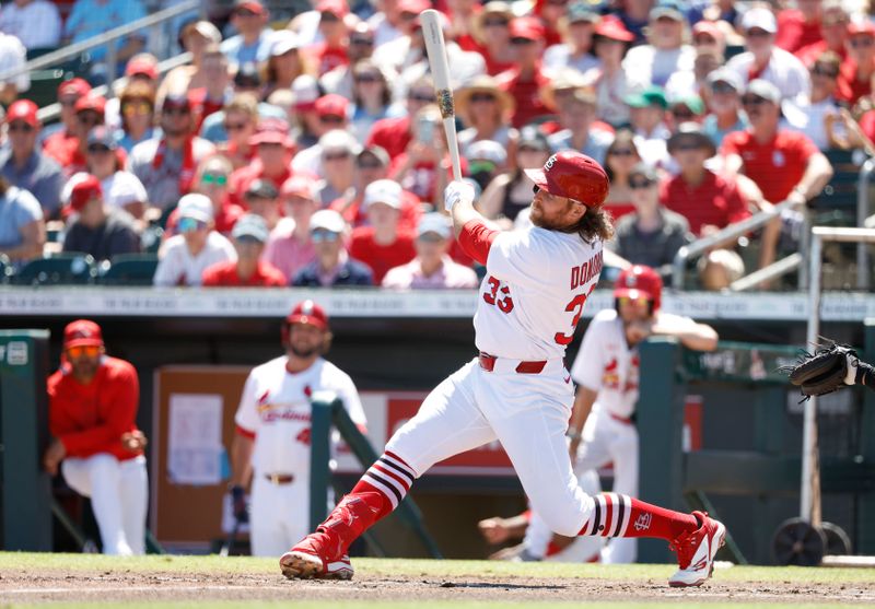 Mar 18, 2025; Jupiter, Florida, USA;  St. Louis Cardinals left fielder Brendan Donovan (33) at bat against the Miami Marlins during the first inning at Roger Dean Chevrolet Stadium. Mandatory Credit: Rhona Wise-Imagn Images