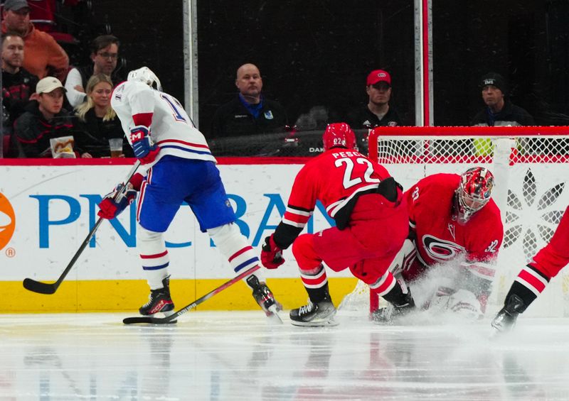 Dec 28, 2023; Raleigh, North Carolina, USA; Montreal Canadiens right wing Josh Anderson (17) scores a goal past Carolina Hurricanes goaltender Antti Raanta (32) during the third period at PNC Arena. Mandatory Credit: James Guillory-USA TODAY Sports